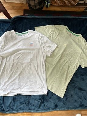 Sartorisan Pair of Casual Short Sleeve Tees - White & Light Green